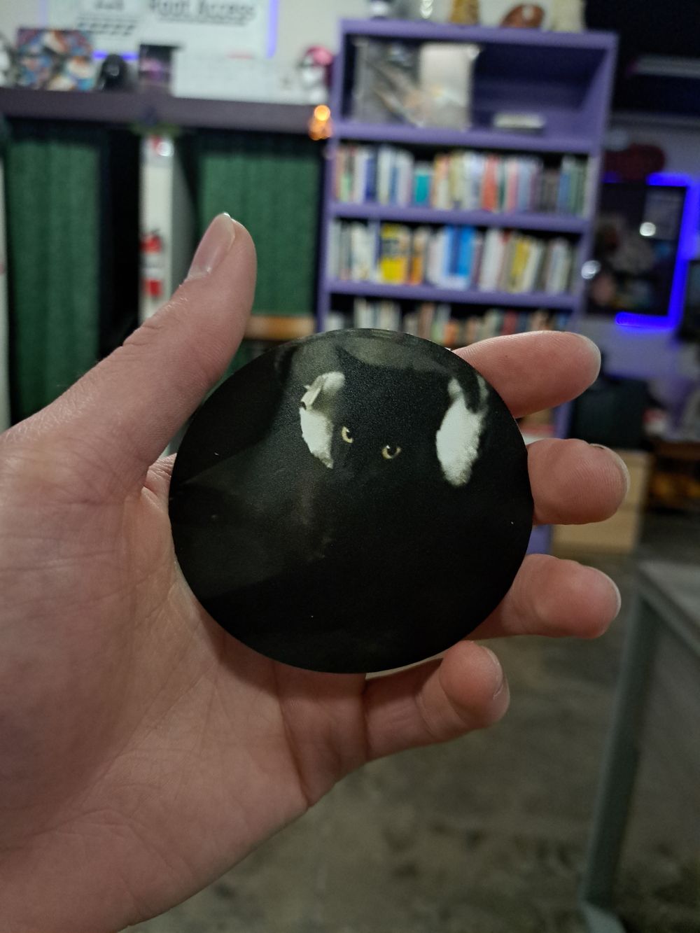Stickers of my cat!